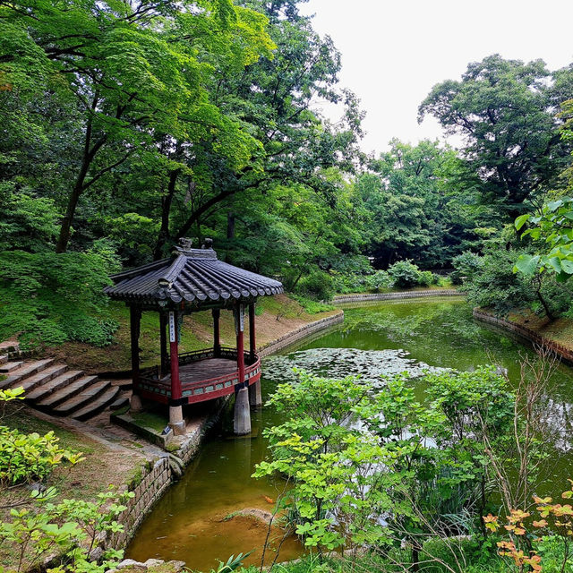 Palace of Serenity: Changdeokgung's Majestic Charm