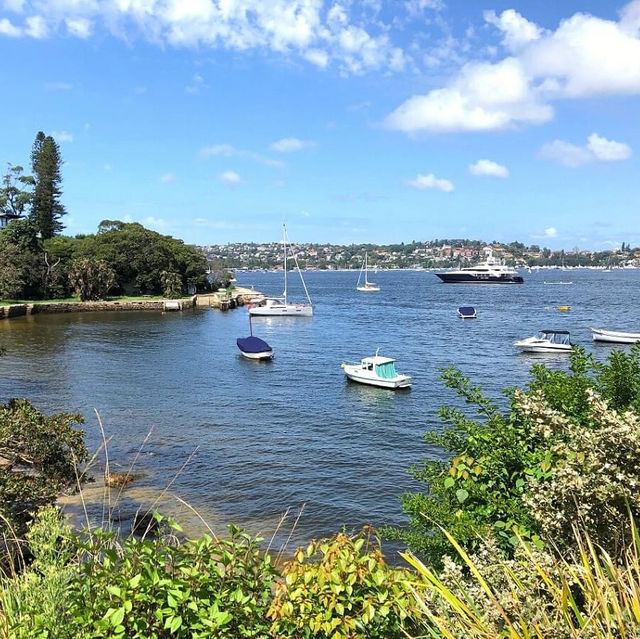 Sydney’s Scenic Coastal Secret