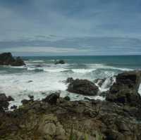 "Tahunanui Beach: Nelson’s Scenic Coastal Haven"