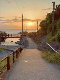 【神奈川】ねこ島🐈絶景夕陽スポットでお散歩