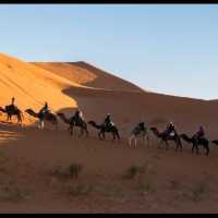 Sahara desert Morocco 