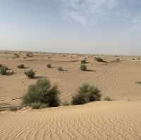 From Sand to Sunset: Dubai Desert Safari Goals