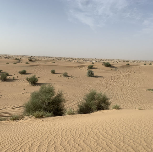 From Sand to Sunset: Dubai Desert Safari Goals