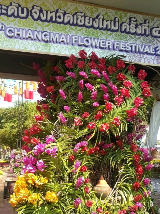 CHIANGMAI FLOWER FESTIVAL 