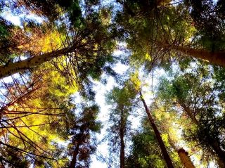 An Unspoiled Picturesque National Park