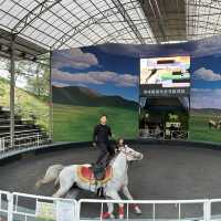 Sheep, Skywalk and Stunning Views at Qingjing Farm