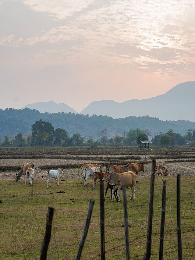 📍Vang Vieng