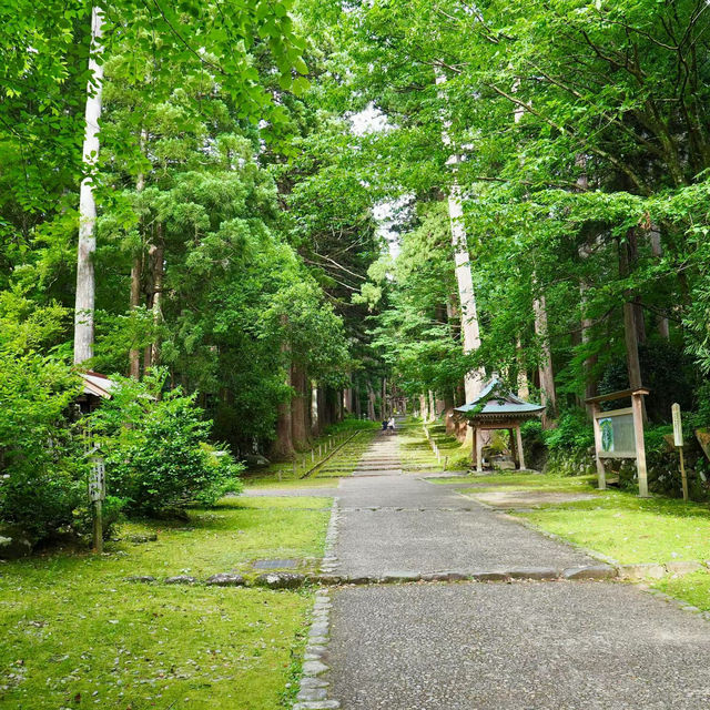 八阪神社：歷史文化的交匯點 ⛩️🌸