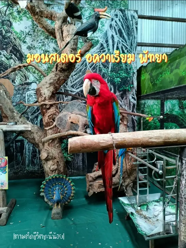 เที่ยวสวนสัตว์แปลกชลบุรี