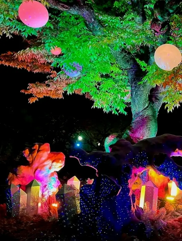 炎炎夏夜，到愛寶樂園享受夜間開放