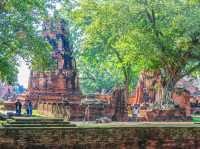 วัดมหาธาตุ จังหวัดอยุธยา