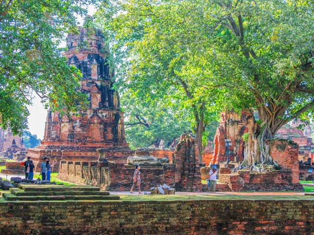วัดมหาธาตุ จังหวัดอยุธยา