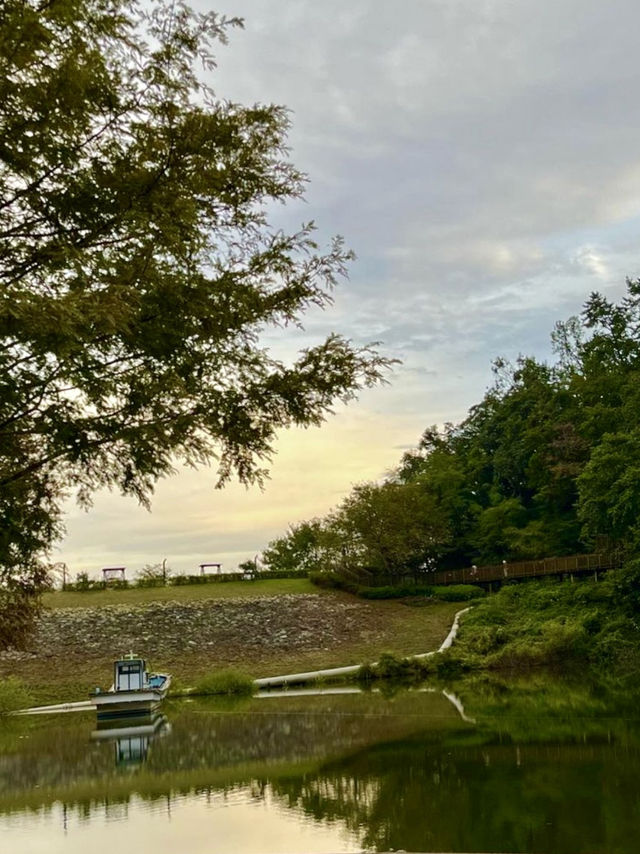 완연한 가을의 자연을 느껴볼 수 있는 🌳부산 야외데이트 명소💚