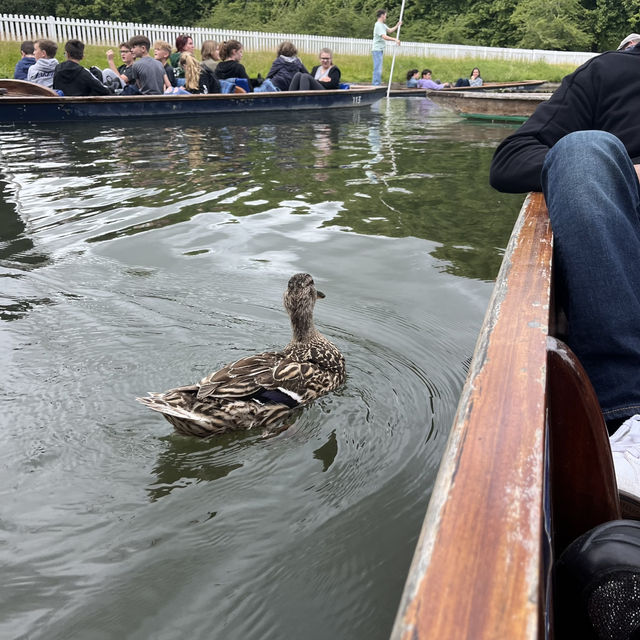 Discover The Charms of Cambridge: A Half-Day Tour Through History and Academia