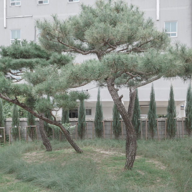 과거의 역사를 현대적 감각으로 재해석한 곳