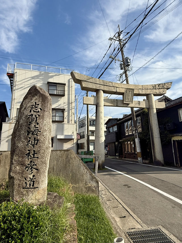 【福岡県】海神の総本社と龍の都