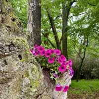 Bulguksa Travel - One day itinerary 
