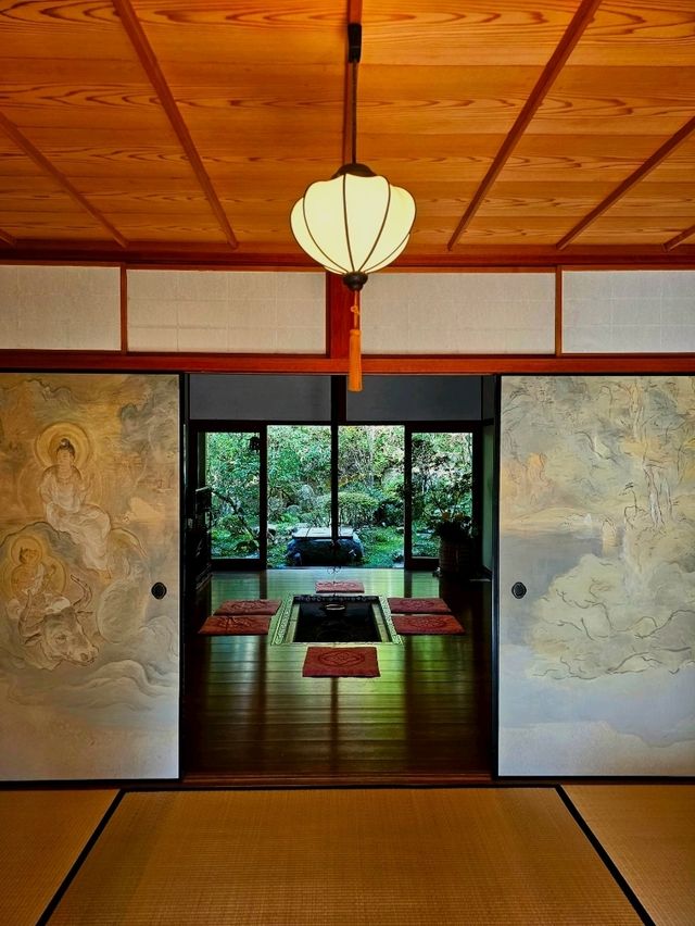 【京都/紅葉スポット】樹齢700年！１度はみたい、神秘的な五葉松🍁