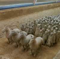 Xuzhou Han Dynasty Terracotta Warriors and Horses