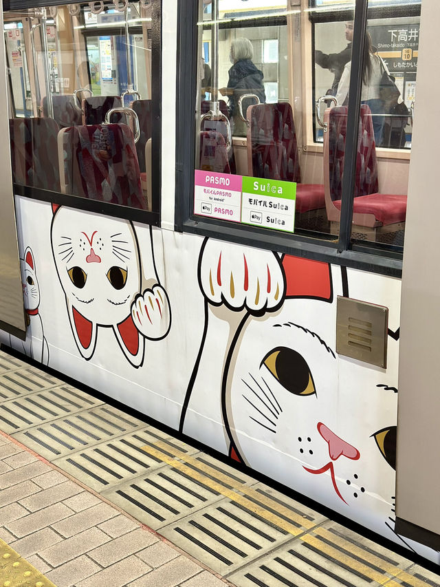 The Cutest Cat Train in Tokyo 🐱🐾