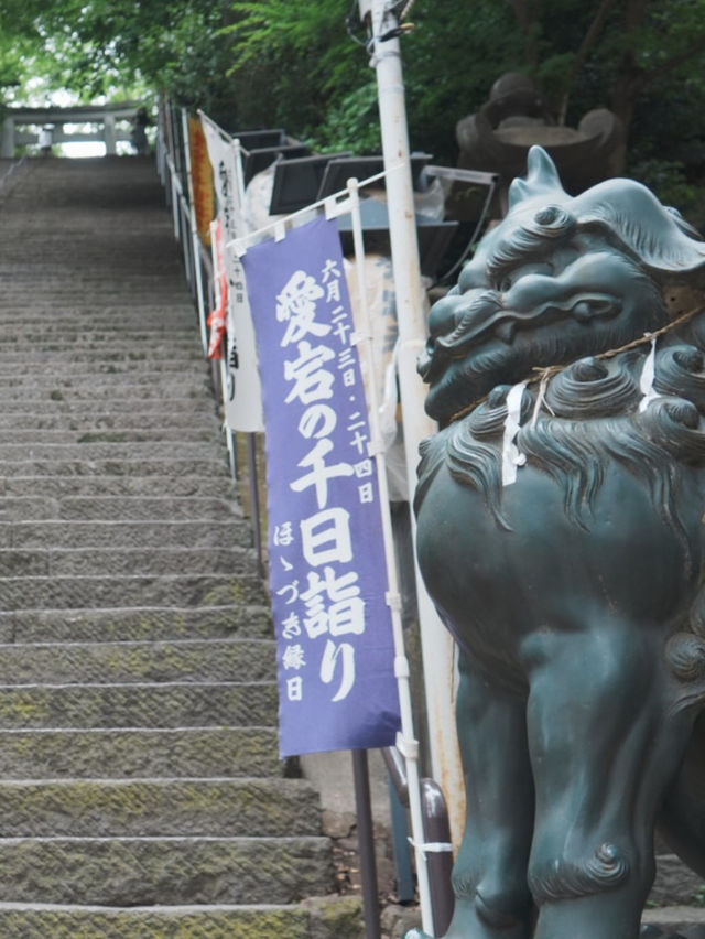 【東京観光】東京の隠れた名所！「愛宕神社」で運気アップ⛩️✨ 