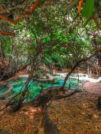 Saline Hot Spring Khlong Thom