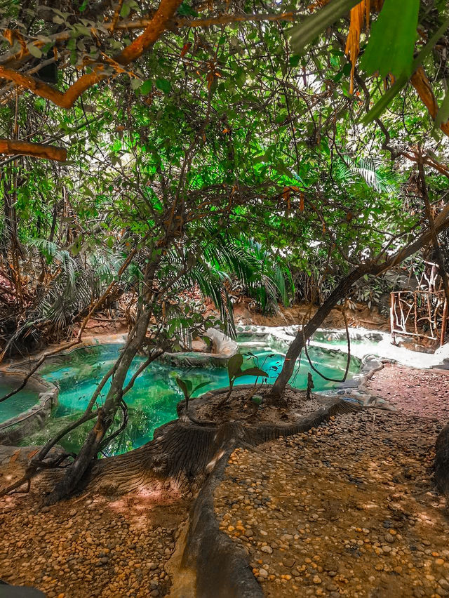 Saline Hot Spring Khlong Thom
