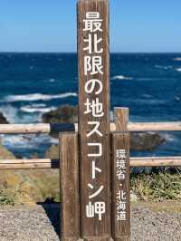 【北海道礼文島】最北限の地スコトン岬✨