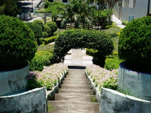 【澳門】龍環葡韻住宅式博物館：歷史建築、精緻藝術品，探索澳門魅力