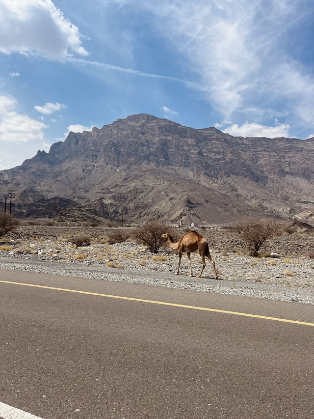 Hidden in the Hills: A Dreamy Escape to Sama Wakan Heritage Homes in Oman