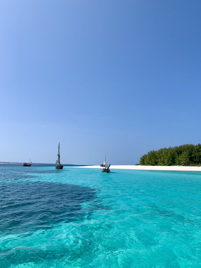 Zanzibar Bliss: Sun, Sea and Sassy Dolphins at Mnemba Island! 