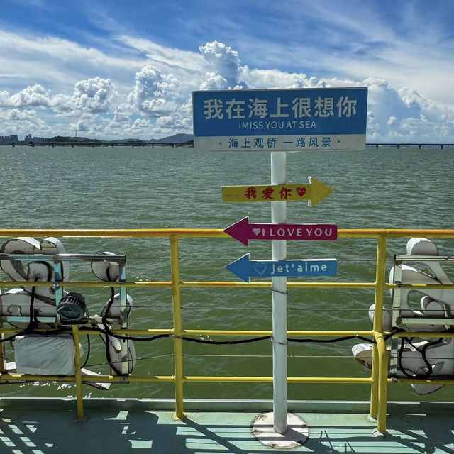 🚢 港珠澳大橋遊船：跨越海天的壯麗之旅