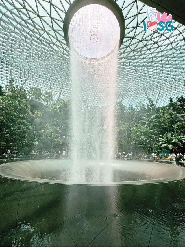 🇸🇬 Berry welcome to Jewel Changi Lounge