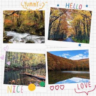 운시 계곡: 자연 시 🍂🌲