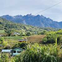 Chasing Kinabalu: My Adventure-Filled Road Trip to Kundasang!