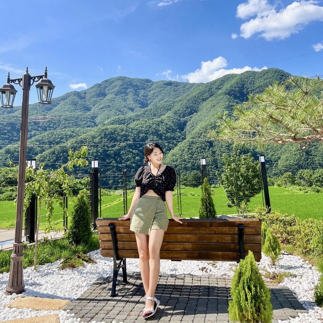 오픈카가 있는 숲뷰 홍천카페💚