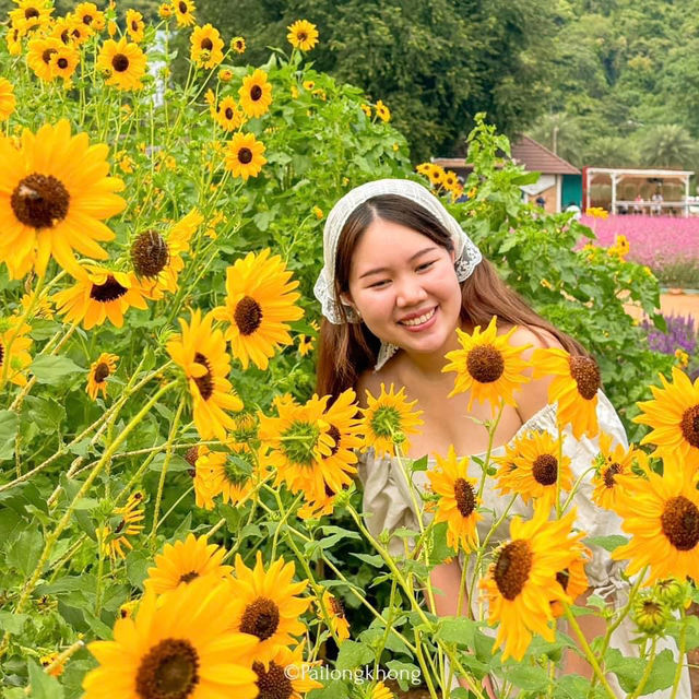 Hokkaido Flower Park Khaoyai