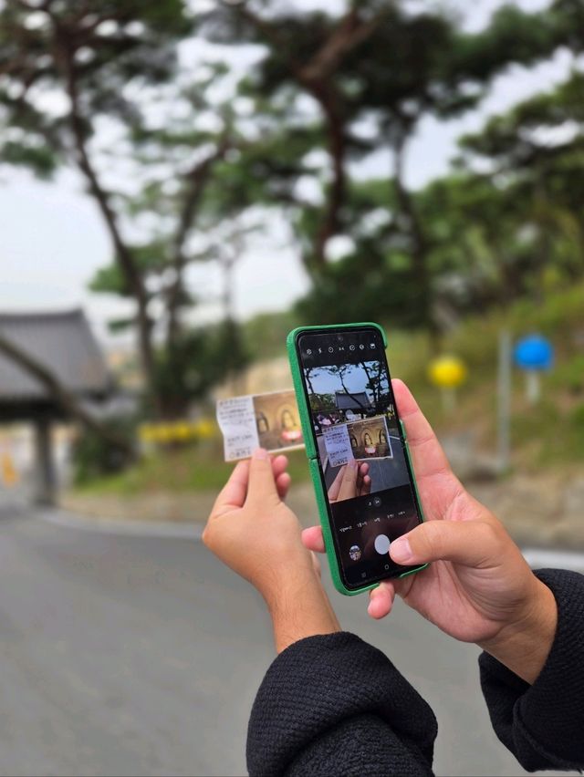 강화도 여행코스로 추천하는 바다뷰 사찰💚 강화도 여행코스로 추천하는 바다뷰 사찰💚