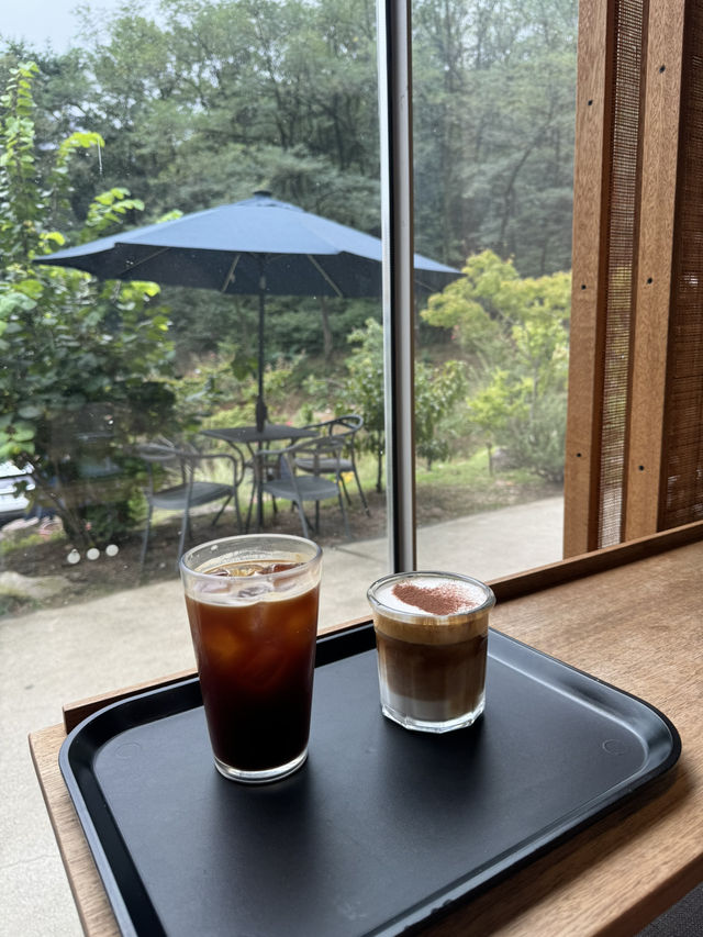 애견동반도 가능한 숲뷰 카페 🌳