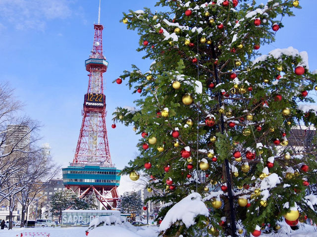 【北海道・札幌】雪を纏う冬景色❄️