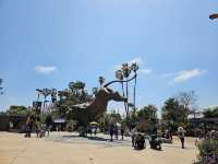 미국 여행 동물을 좋아한다면 San diego zoo❤️