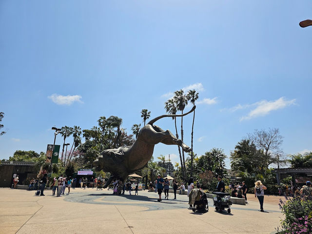 미국 여행 동물을 좋아한다면 San diego zoo❤️