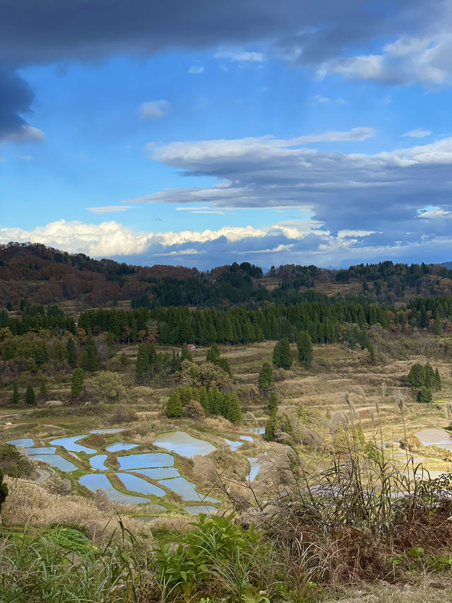 【新潟×日本の絶景】  大小様々な棚田が作り出す光景  運よければ雲海も・・