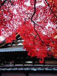 📍長野　真っ赤な紅葉が見られる長円寺