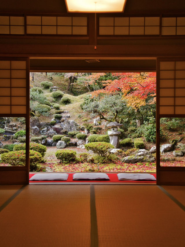 【ここ行って】めちゃ穴場の予約制紅葉スポット🍁庭園の風景が美しい✨