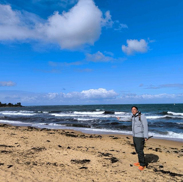 墨爾本文【BrightonBeach】是遊客必到之打卡勝地！