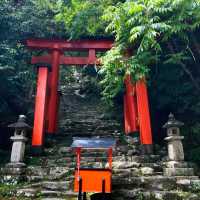 大歲神社📝清幽靜謐⛩️🌲