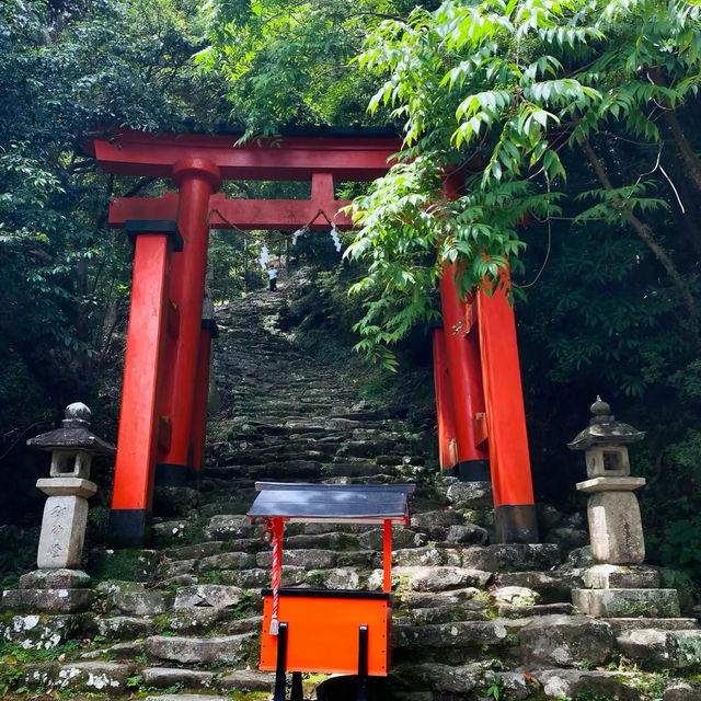 大歲神社📝清幽靜謐⛩️🌲