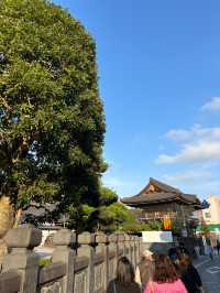 เที่ยววัด Naritasan ใกล้สนามบินนาริตะ