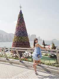 香港🇭🇰西九20米巨型聖誕樹🎄